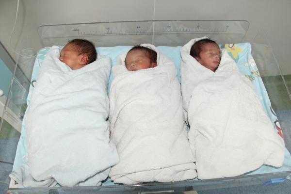 图为刚刚出生的早产三胞胎婴儿